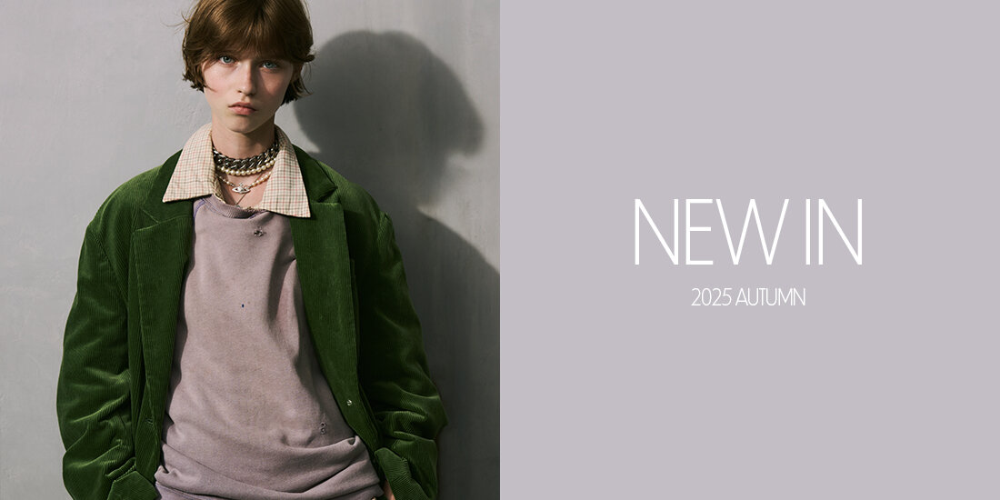 New in 2025 AUTUMN  roku