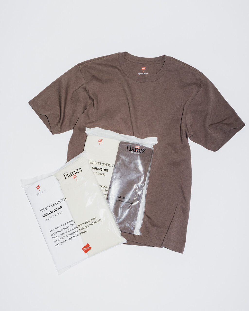 tシャツ 「別注」「Hanes」2パック Tシャツ レディース Hanes tシャツ 「別注」「Hanes」2パック Tシャツ レディース