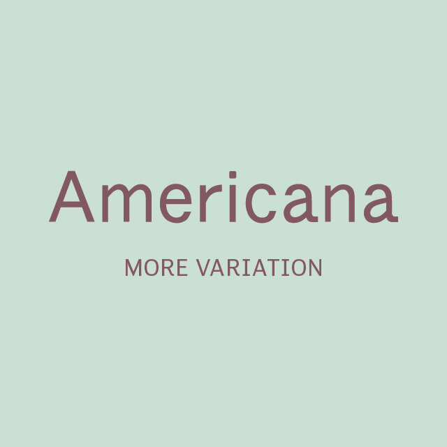 ＜Ameriana＞MORE VARIETION