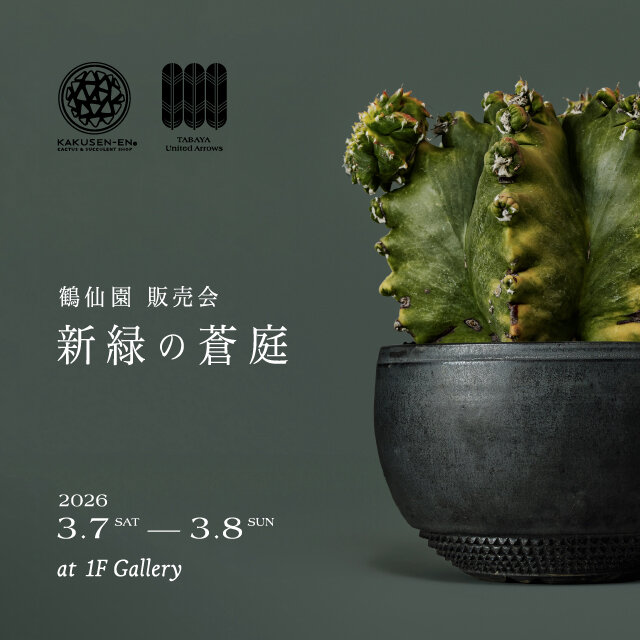 サボテン・多肉植物専門店「鶴仙園」販売会を開催 -TABAYA United Arrows-