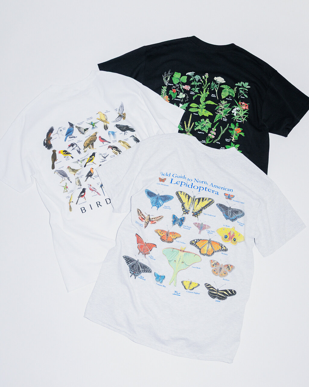 ATLAS SCREEN PRINTING