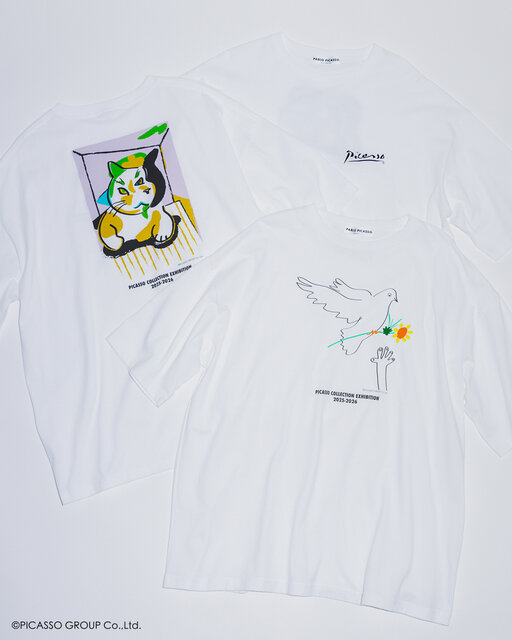 Picasso Collection