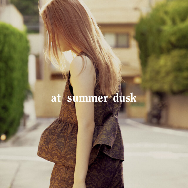at summer dusk