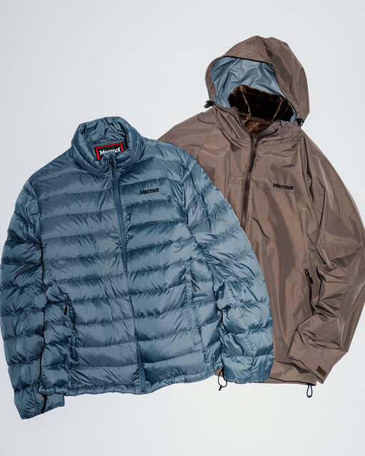 Marmot