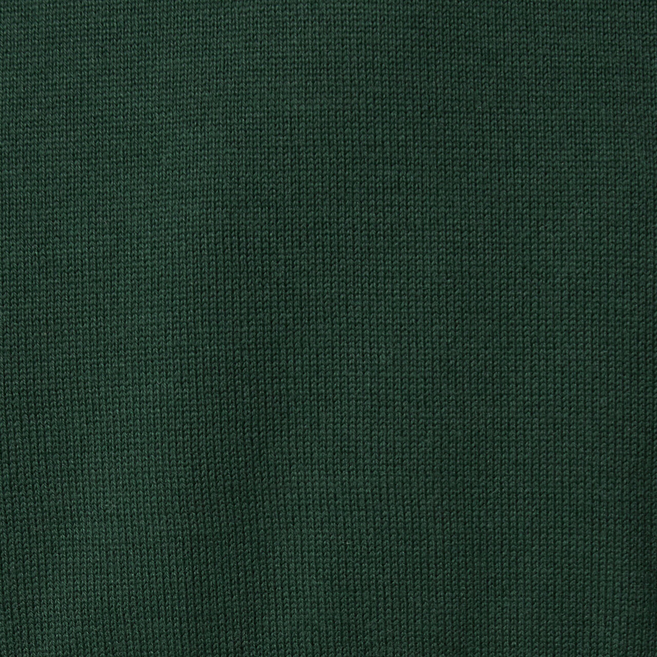 クリアなコットン糸を使用した天竺編みのニット生地。