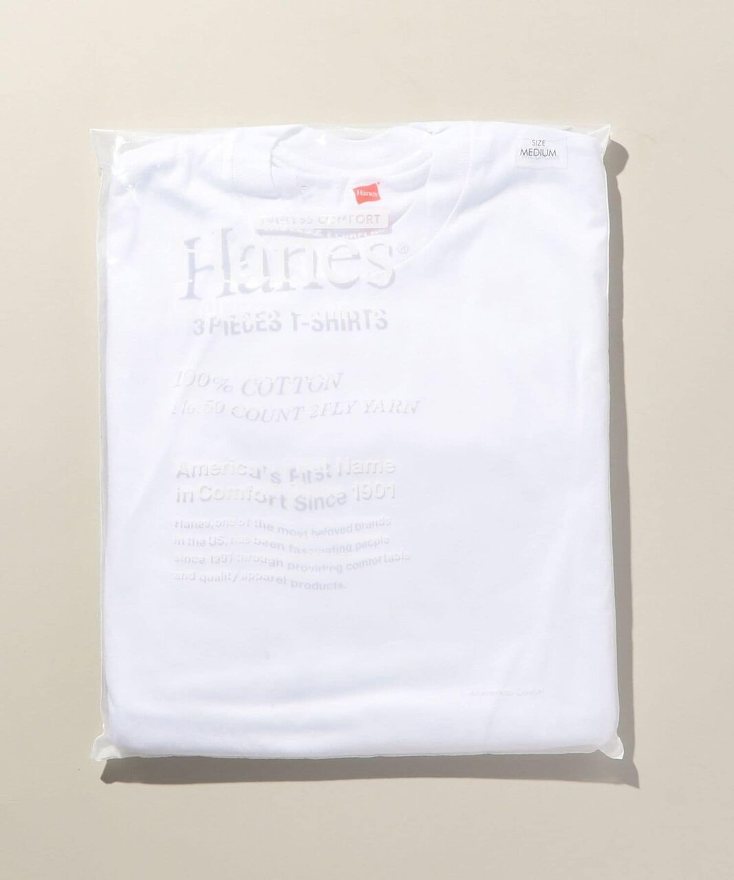 【別注】 ＜Hanes＞ 3パックTシャツ