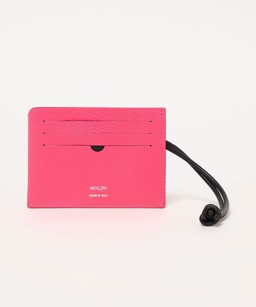 ＜AYA KANEKO×MOLINI＞フラグメントケース
