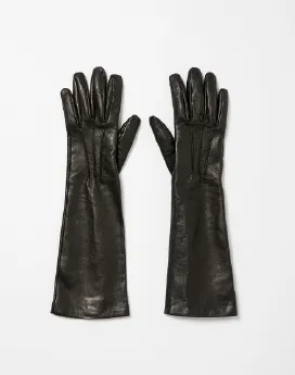 GLOVE GALA GROVES